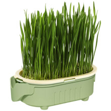 Inner Cat Grass Bowl Hydroponic Elephant Shape Indoor Cat Grass Planter Easy Care Pet Snack Holder for Balcony Courtyard