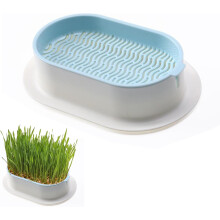 Household Cat Grass Planter Blue Plastic Catnip Box with Wheatgrass Seeds for Indoor Cats Soill Nursery Planting Box