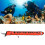 4FT High Visibility Inflatable Scuba Diving SMB 5