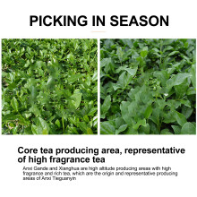 Tie Guan Yin Orchidee 60g Oolong-Teeblätter 2.1oz