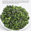 Tie Guan Yin Orchidee 60g Oolong-Teeblätter 2.1oz 6