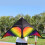 Cometa triangular colorida 150x75cm, cuerda de 30m 8