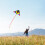 Cometa triangular colorida 150x75cm, cuerda de 30m 4