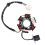 GY6 C110‑6 Magneto Stator Coil Replacement Parts 4