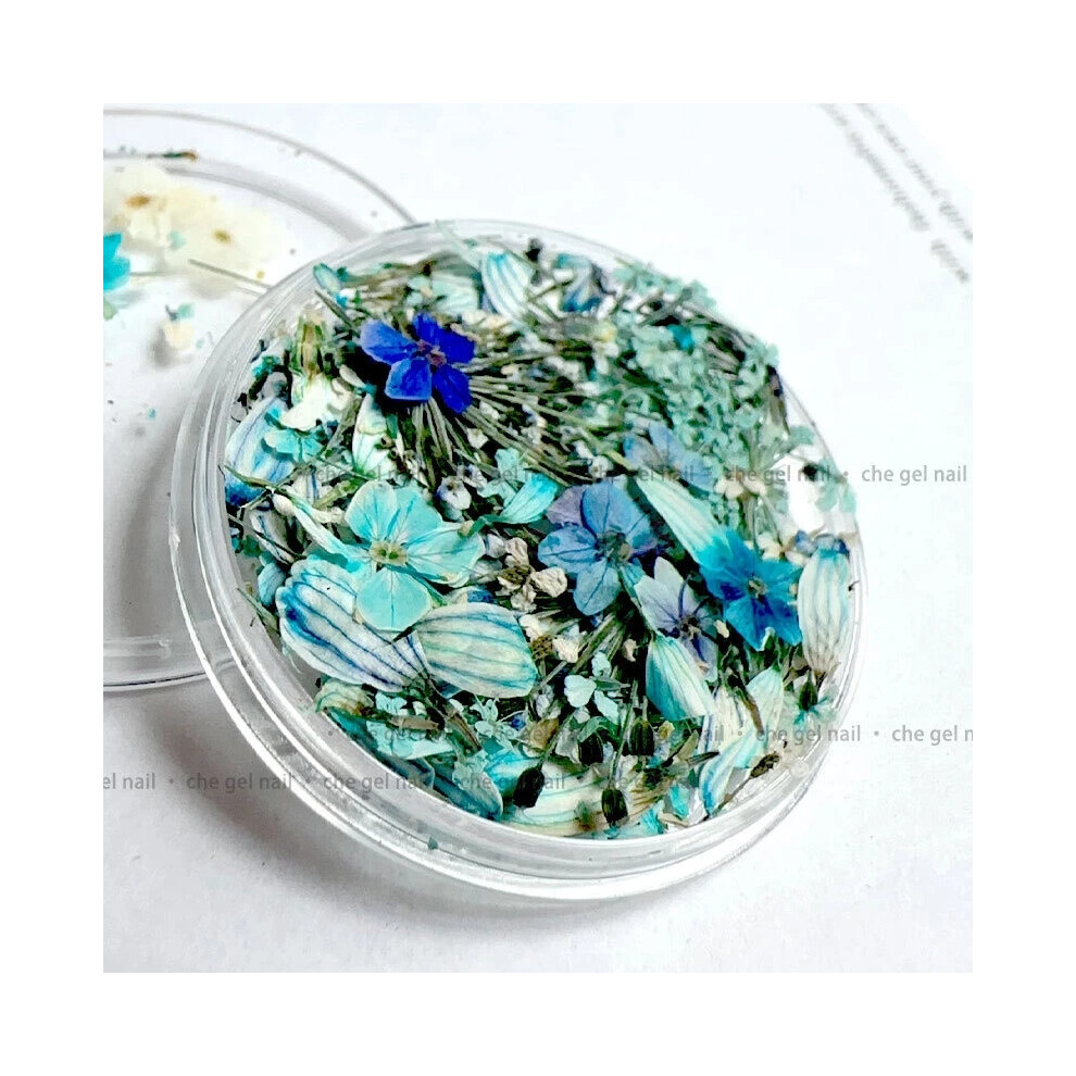Blue (Blue) Diy Nail Art Dried Flowers Decoration 1 Box Manicure Tips Decals Design