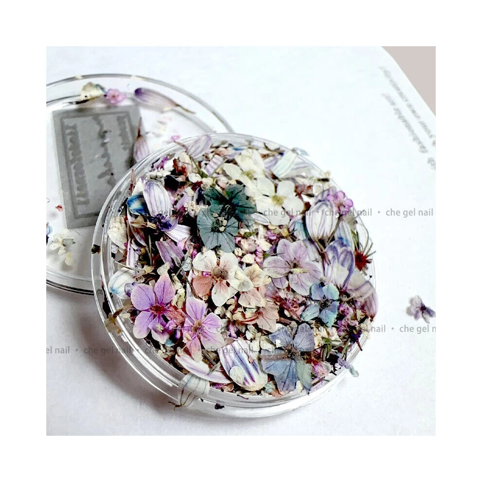 Purple (Purple) Diy Nail Art Dried Flowers Decoration 1 Box Manicure Tips Decals Design