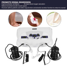 Negativer Ionen Wasserstoff-Fußbad Spa Detox-Maschine für 2 Personen, 110V