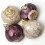 (3 Bulbs) HYACINTH PINK PEARL. Specially Prepared bulbs. 4