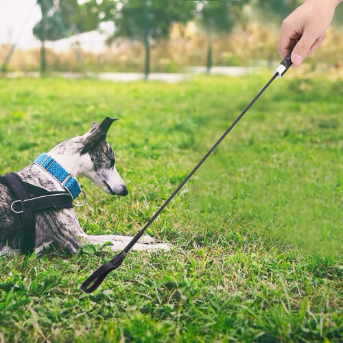 Black Fiber Reinforced Plastic Pet Training Whips 1