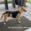 Hund Rückenstütze S Polyester-Weste - Gehunterstützung 4