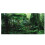 Rainforest Poster 91x50cm: Self-Adhesive Sticker for Reptile Boxes 10