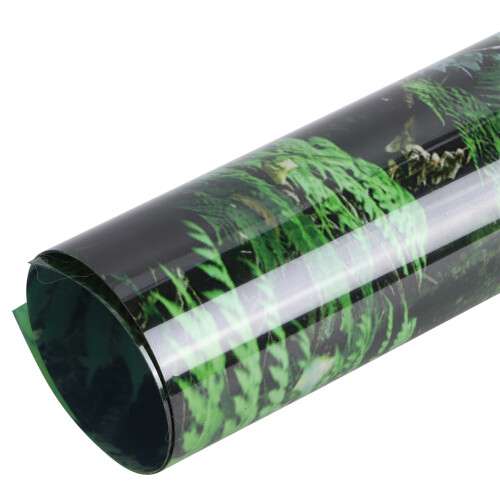 Rainforest Poster 91x50cm: Self-Adhesive Sticker for Reptile Boxes