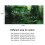 Rainforest Poster 91x50cm: Self-Adhesive Sticker for Reptile Boxes 6