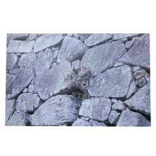Cuttable 61x41cm PVC HD Rock Sticker for Fish Tanks - Non-Toxic & Odorless