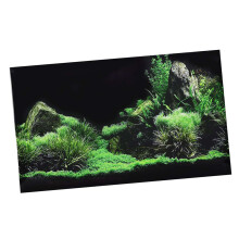 Easy-Apply Aquarium PVC Sticker: Bright Thick 91x50cm Decoration