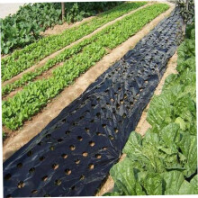 Perforated Black Plastic Mulch Film 3 x 33 ft, 5-Hole PE Garden Cover for Vegetable Plant Protection and Soil Moisture Retention
