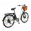 DYU Bicicleta elétrica - DYU - C6 - 26 polegadas - Motor 350W - Bateria 36V 12.5Ah - 70KM de autonomia - Branco 4