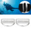2pcs 304 Stainless Steel D Ring Diving Buckle 10