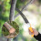 280mm Folding Hand Saw for Wood Pruning Gardening Tool 4