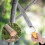 280mm Non-Slip Folding Hand Saw - Ideal for Pruning and Logging Tasks 5