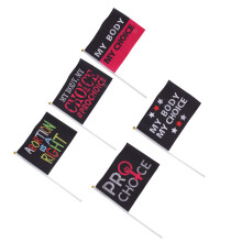 10 piezas Tipo A Bandera feminista 21 x 14 cm Color según se muestra