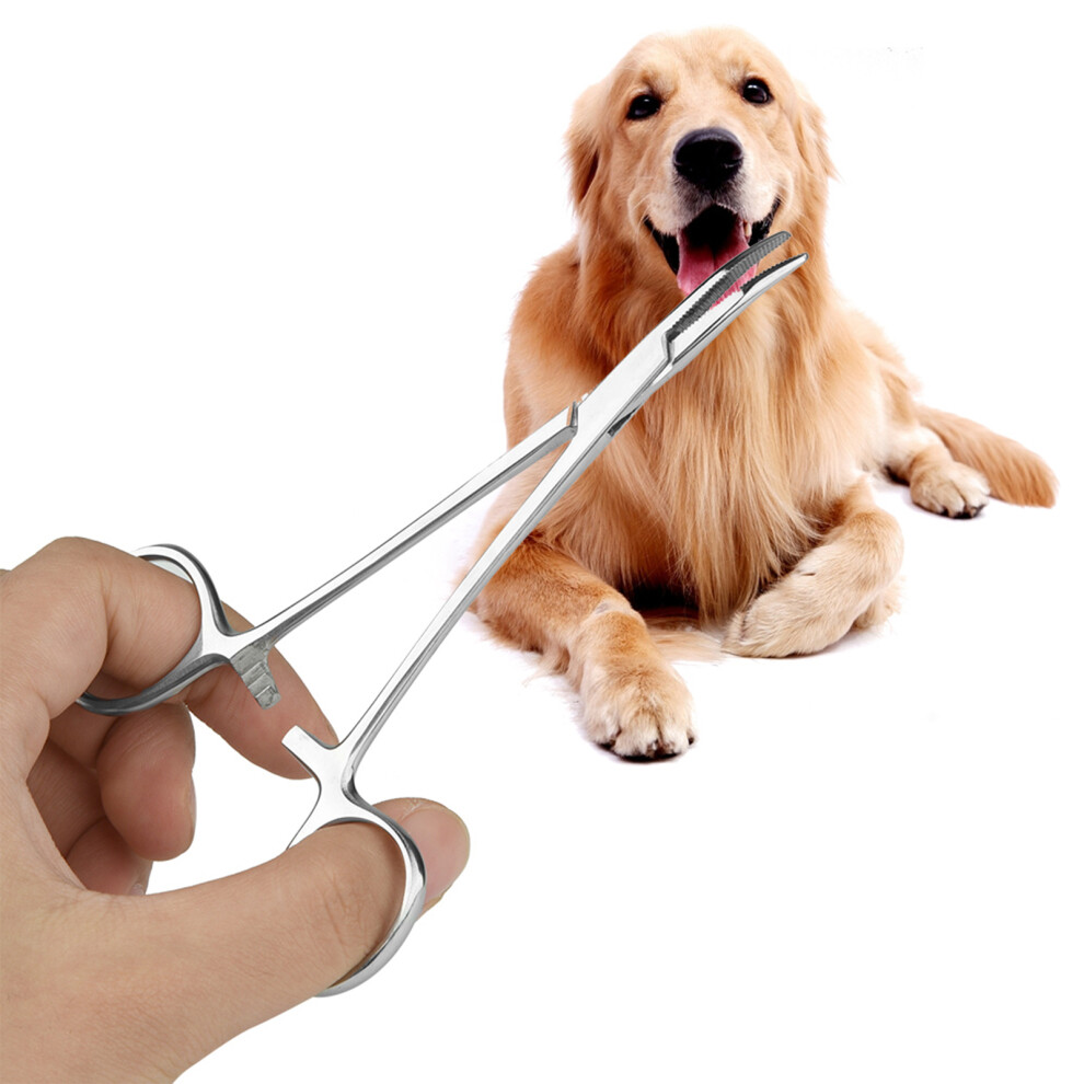 Stainless Steel Pet Ear Hair Tweezers Curved Tip Cleaning Clamp