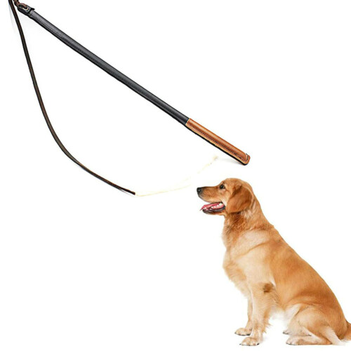 Hundetraining-Peitsche aus Kunstleder 54,5 cm / 62 cm 2