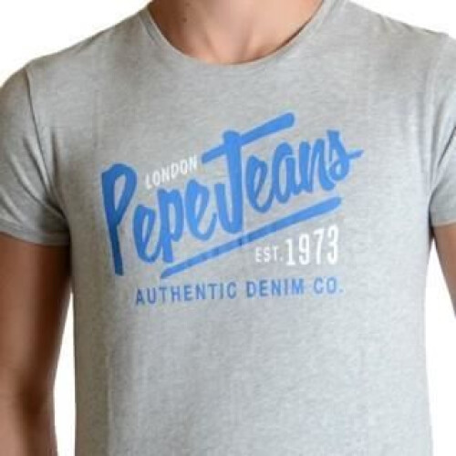 Pepe Jeans Tee Shirt Pepe Jeans Ace - Gris 2