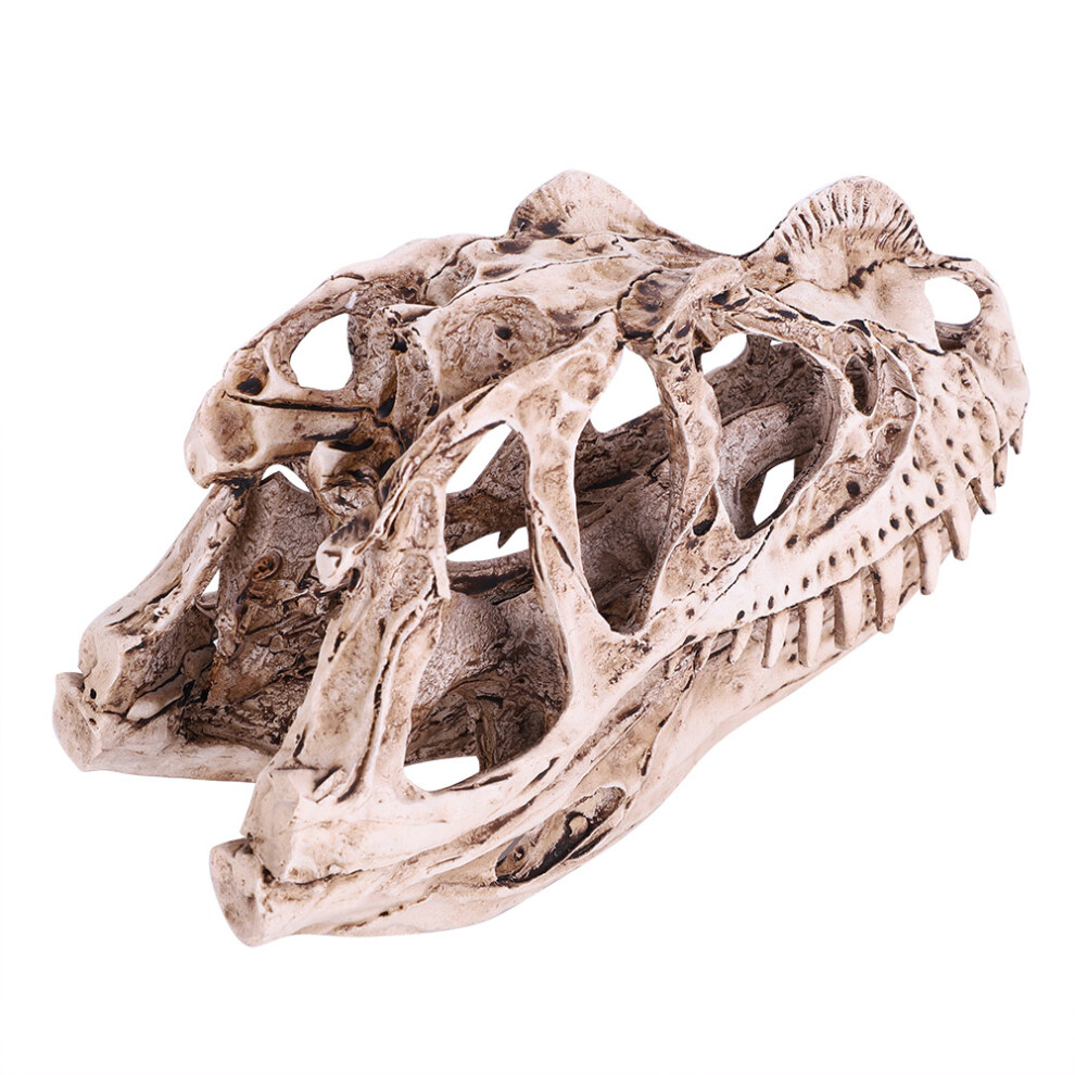 Simulated Dinosaur Skull Skeleton Resin Decor for Home & Office Craft Use-image-OPC-PJMDHVZ-NEW