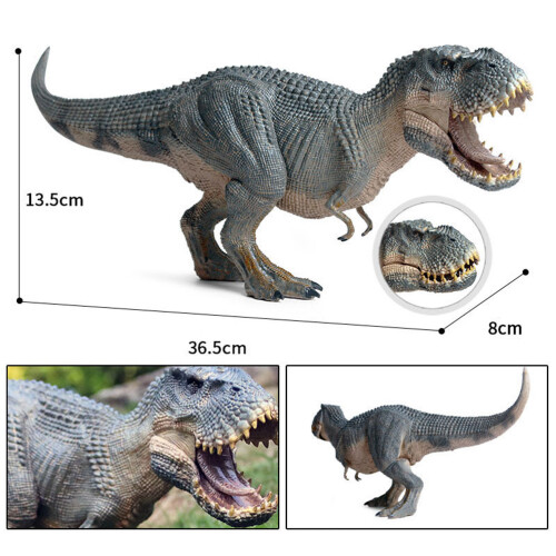 Tyrannosaurus rex statisches Modell, 39149 cm 2