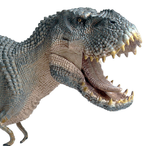 Tyrannosaurus rex statisches Modell, 39149 cm