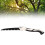 Folding Saw SK5 Blade Hard Teeth Low Noise Quick 12