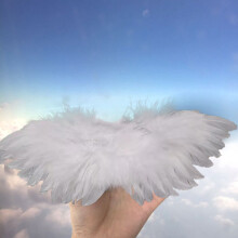 Kids & Pet Mini Feather Angel Wing Props Photography Halloween Christmas