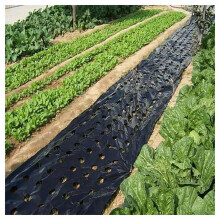 Agriculture Mulch Plastic Film with Pre-Cut Holes for Greenhouse Weed Control 0.95 x 20 m Black Mylar for Strawberry Vegetable Plants
