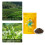 Lapsang Souchong Schwarzer Tee Loseblatttee 65 g 7