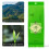 Longjing duftender Grüntee 80 g Netto-Geschenkpackung 92 g 7