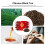 NO.9 Té Negro 65 g de uso múltiple Té Rojo Chino 7