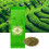 Longjing duftender Grüntee 80 g Netto-Geschenkpackung 92 g 16