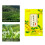 22 Teebeutel Osmanthus-Oolong-Tee 66 g / 2,3 oz 9