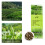 Té de jazmín 100 g forma completa de flor natural 11