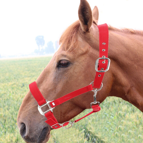 6mm Red Adjustable Horse Bridle Control Halter Riding Accessory 2