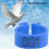 8MM 100PCS Blue Plastic Numbered Bird Leg Bands Rings 4