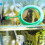 Round Fish Feeder Ring for Aquarium Suction Cup Mount 10 cm Size 6