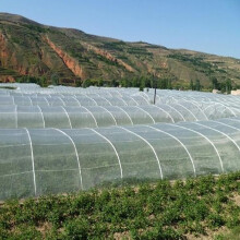 Garden Vegetable Fruit Protector Fly Mesh Cover 3x2m White