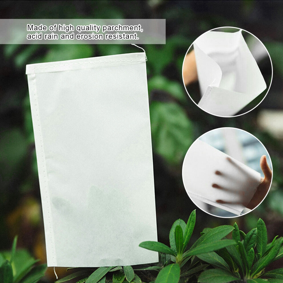 Acid Resistant 100pcs Garden Pollination Bags 16x10cm Non-Toxic-image-OPC-PJMHQX7-NEW