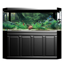 PVC Riverside Green Woods Aquarium Background Poster Sticker 61x41cm