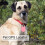 Mini Pet GPS Locator Bluetooth Anti-Lost Tracker Pink 5x3cm 3