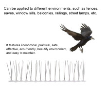10Pcs 30cm Stainless Steel Bird Spike Outdoor Bird Repellent Protects Buildings