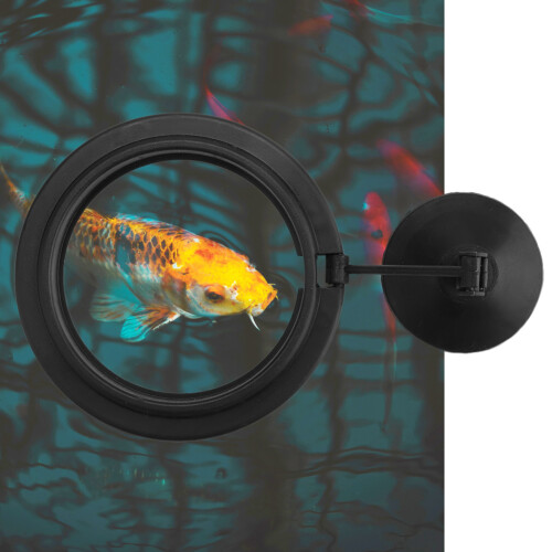 Fish Feeding Ring, Round Plastic Aquarium Food Circle, 5.5cm Diameter 2