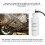 500ml Car Brake Clutch Bleeding Fluid Bleeder Kit 8